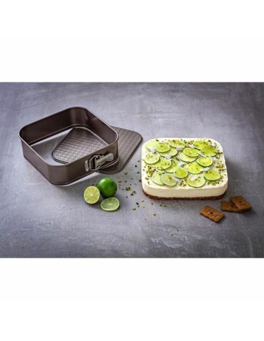 Kuchenspringform Pyrex Braun Edelstahl