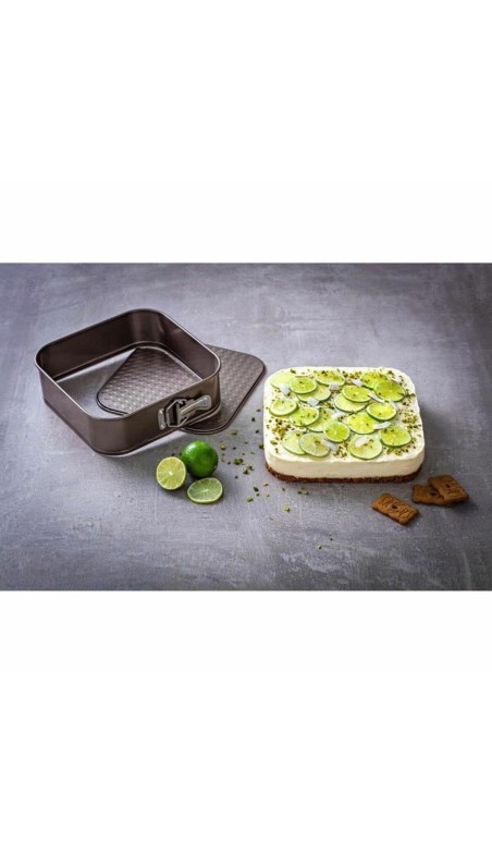 Stampo Removibile Pyrex Marrone Acciaio inossidabile