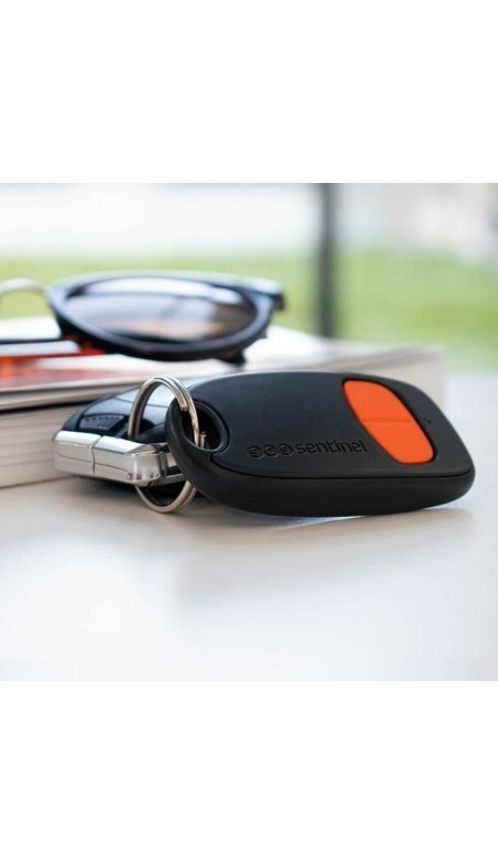 Télécommande SCS SENTINEL SimplyControl 40 m Orange