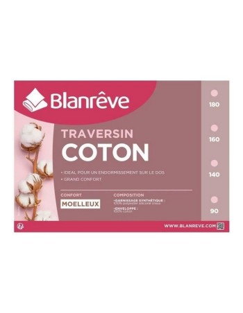 Kussen Blanreve Wit 2