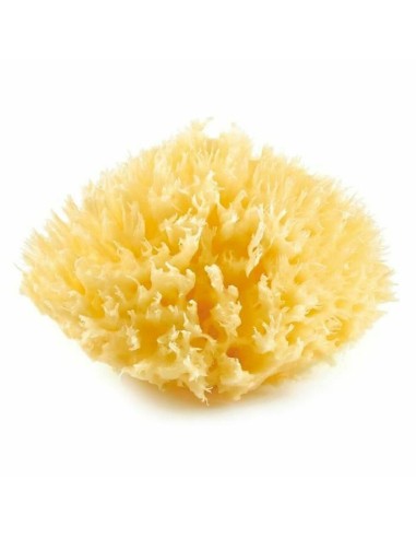 Esponja Corporal ThermoBaby Amarelo