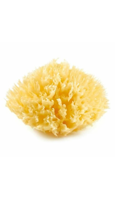 Esponja Corporal ThermoBaby Amarelo