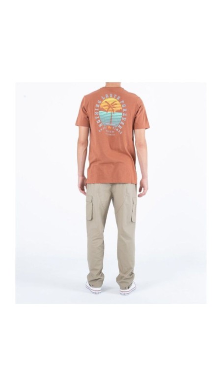 Calças Hurley Cruiser Cargo Castanho