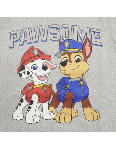Sweat-shirt Enfant The Paw Patrol Gris