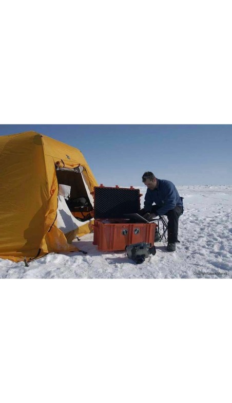 Caixa de Ferramentas GT Line EXPLORER 5117 54,6 x 34,7 x 19,7 cm Metal Polipropileno