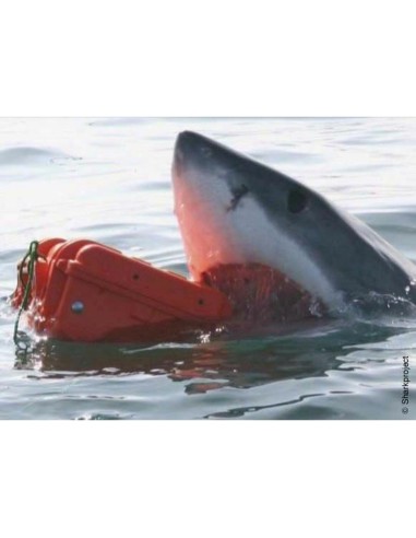 Werkzeugsatz GT Line EXPLORER 5117 54,6 x 34,7 x 19,7 cm Metall Polypropylen