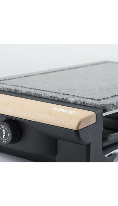 Barbecue Électrique Hkoenig RP320