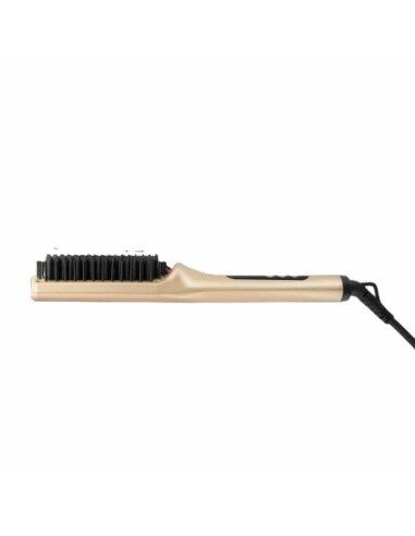 Plancha de Pelo Saint-Algue